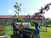 Výsadba na školní zahradě